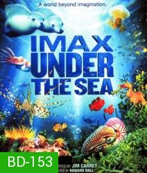 IMAX Under The Sea