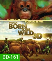 IMAX Born to be wild 3D มหัศจรรย์ชีวิตป่า