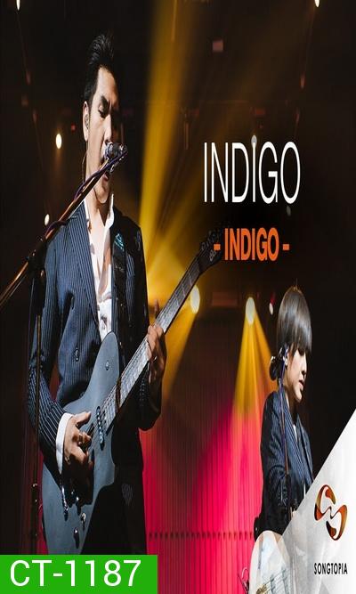 Songtopia Livehouse By AIS PLAY Present “FRIENDEVER”  Colorpitch และ Indigo 
