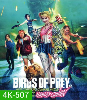 4K - Birds of Prey (2020) ทีมนกผู้ล่า กับ ฮาร์ลีย์ ควินน์ ผู้เริดเชิด - แผ่นหนัง 4K UHD