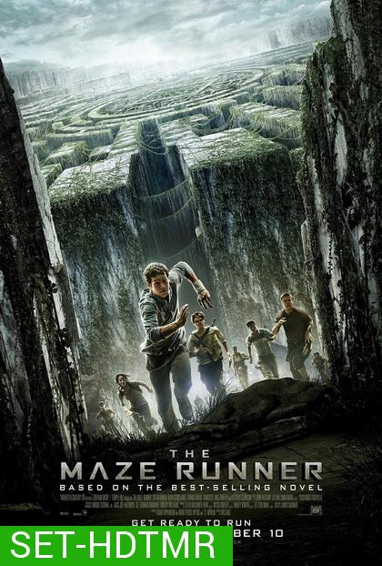 The Maze Runner (จัดชุด 3 ภาค)