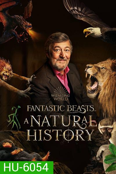 Fantastic Beasts A Natural History (2022)