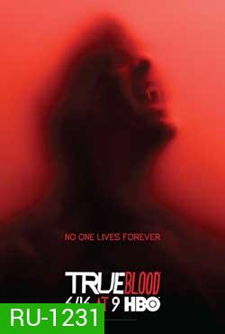 True Blood Season 6 (2013) ทรูบลัด แวมไพร์พันธุ์ใหม่ ปี 6