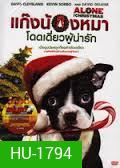 Alone for Christmas แก๊งน้องหมาโดดเดี่ยวผู้น่ารัก