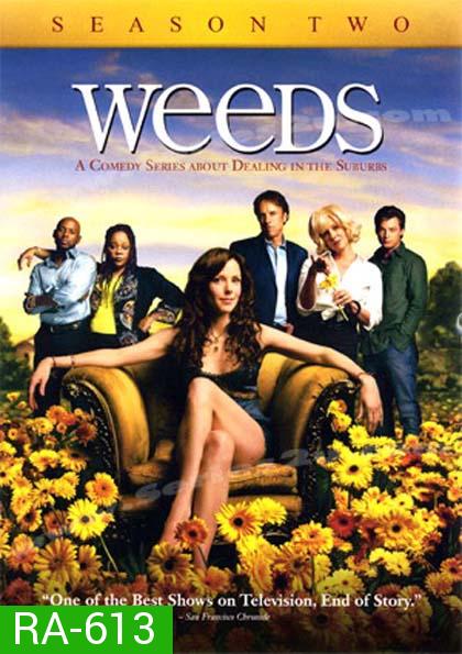 Weeds Season 2 : หม่ายชุลมุน ปี 2