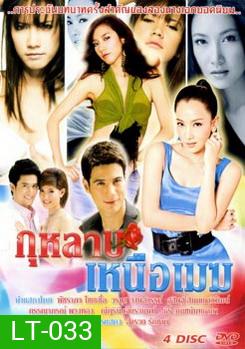 กุหลาบเหนือเมฆ