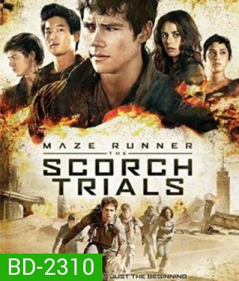 Maze Runner 2 The Scorch Trials (2015) สมรภูมิมอดไหม้