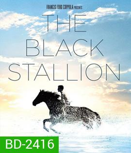 The Black Stallion (1979) อาชาเพื่อนยาก
