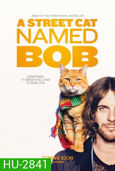 A Street Cat Named Bob