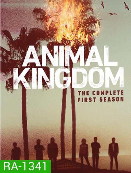 Animal Kingdom Season 1 ตระกูลชั่ว ครอบครัวโจร ปี 1 ( 10 ตอนจบ )