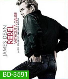 Rebel Without a Cause (1955) วัยอันตราย