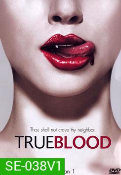 True Blood Season 1 (2008) ทรูบลัด แวมไพร์พันธุ์ใหม่ ปี 1 (หนุ่มแวมไพร์กับยัยสาวเสิร์ฟ)