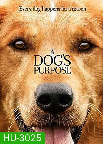 A Dog's Purpose หมา เป้าหมาย และเด็กชายของผม