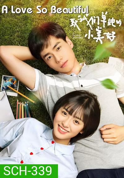 A Love So Beautiful รักนี้มีไว้เพื่อเธอ (23 ตอนจบ)
