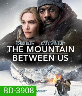 The Mountain Between Us (2017)