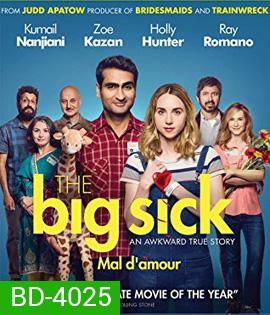 The Big Sick (2017) รักมันป่วย (ซวยแล้วเราเข้ากันไม่ได้)