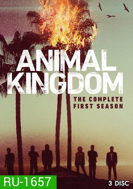 ANIMAL KINGDOM ตระกูลชั่ว ครอบครัวโจร Season 1 (10 ตอนจบ)