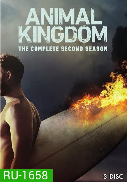 ANIMAL KINGDOM ตระกูลชั่ว ครอบครัวโจร Season 2 (13 ตอนจบ)