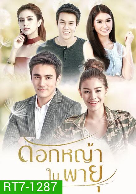 ดอกหญ้าในพายุ ( 16 ตอนจบ + EXTRA )