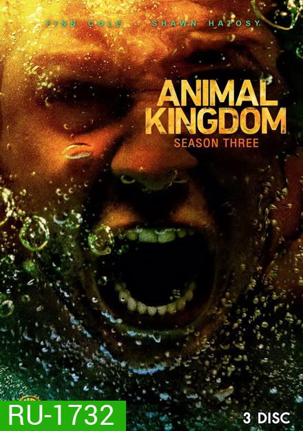 ANIMAL KINGDOM ตระกูลชั่ว ครอบครัวโจร Season 3 (13 ตอนจบ)
