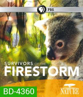 Nature: Survivors of the Firestorm