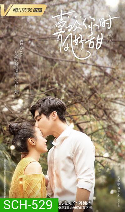 Flipped รักพลิกล็อค (24 ตอนจบ)