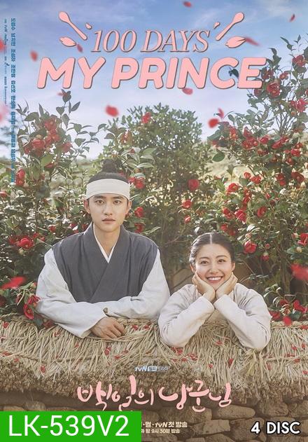 100 Days My Prince รัก 100 วันของฉันและองค์ชาย ( 16 ตอนจบ )