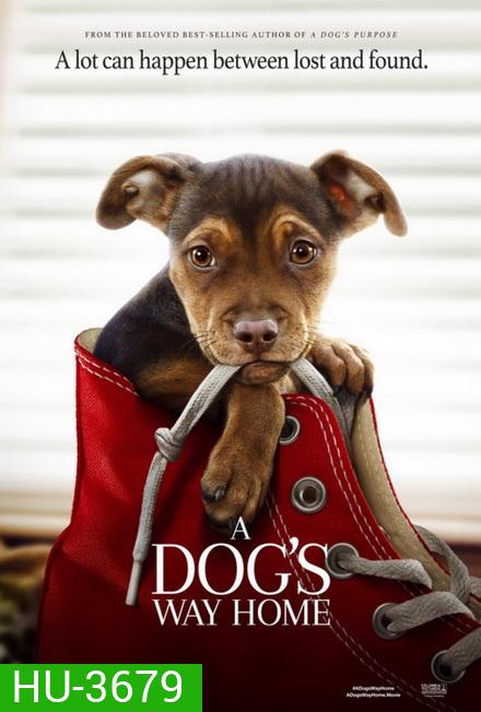 A Dog's Way Home (2019) เพื่อนรักผจญภัยสี่ร้อยไมล์