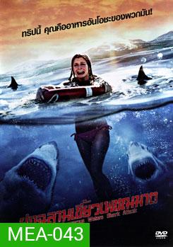 Dangerous Waters Shark Attack ฝูงฉลามเขี้ยวเพชฌฆาต