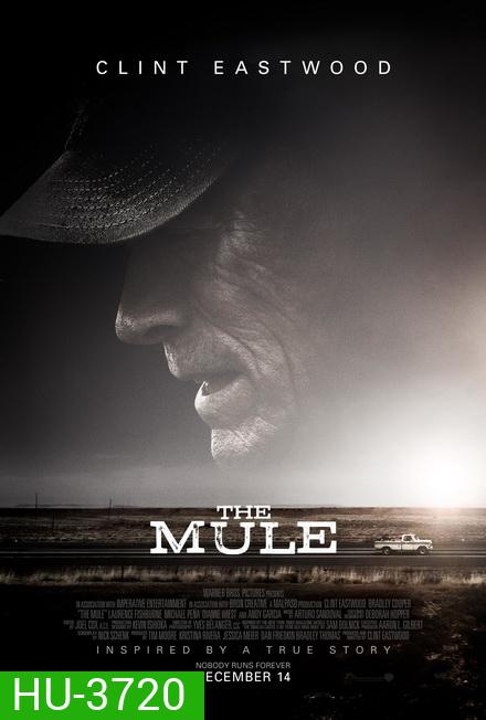 The Mule (2018) เดอะ มิวล์