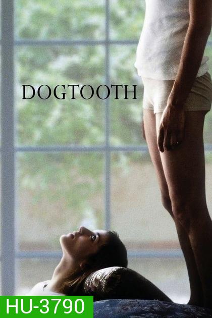Dogtooth (2009) ครอบครัววิปลาศ (18+)