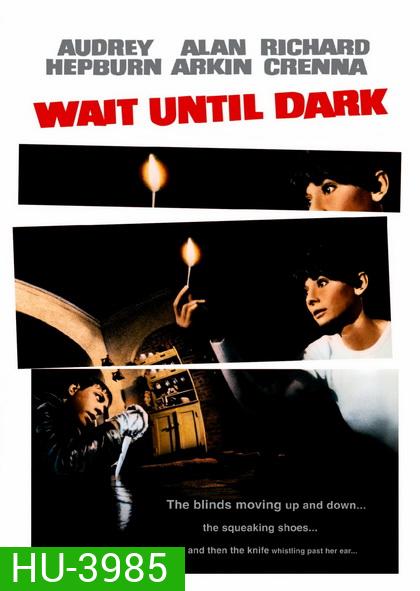 Wait Until Dark (1967) รอไว้..ค่อยๆเชือด