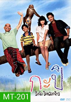 กะปิ ลิงจ๋อไม่หลอกจ้าว