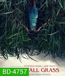 In The Tall Grass (2019) พงหลอนมรณะ {}