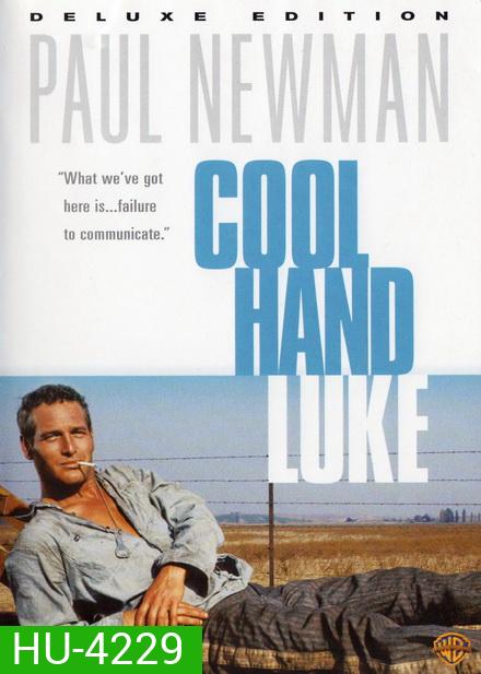 Cool Hand Luke (1967) คนสู้คน