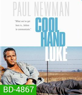 Cool Hand Luke (1967) คนสู้คน