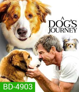 A Dog's Journey (2019) หมา เป้าหมาย และเด็กชายของผม 2