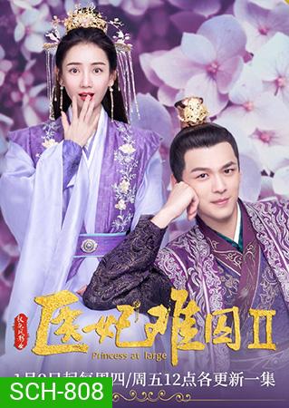 Princess at Large 2 พระชายาลอยนวล 2