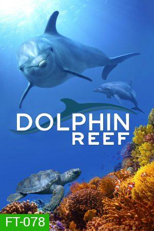 Dolphin Reef Disney อัศจรรย์ชีวิตของโลมา (2020)