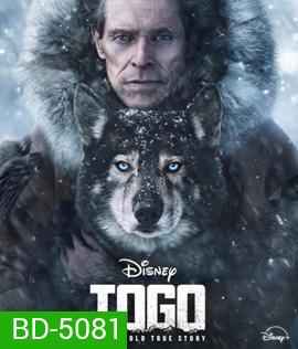 Togo (2019) หมาป่า โตโก
