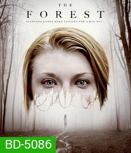 The Forest (2016) ป่าผีดุ {บรรยายอังกฤษสีดำ}