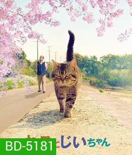 The Island of Cats (2019) แมวเหมียวกับคุณลุง