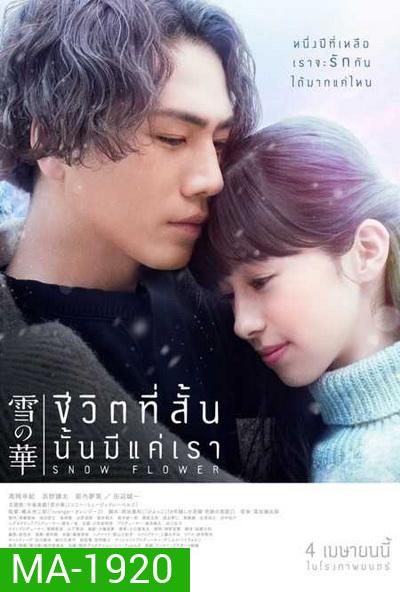 Snow Flower ชีวิตที่สั้นนั้นมีแค่เรา