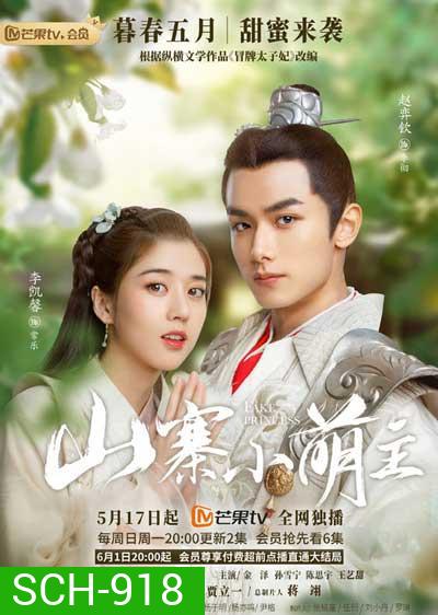 Fake Princese (2020) พระชายากำมะลอ (1-27 จบ)