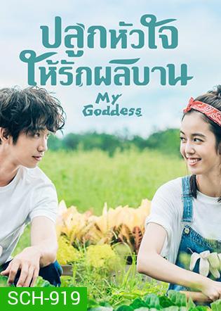 My Goddess (2018) ปลูกหัวใจให้รักผลิบาน