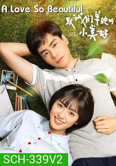A Love So Beautiful รักนี้มีไว้เพื่อเธอ (23 ตอนจบ+Special)