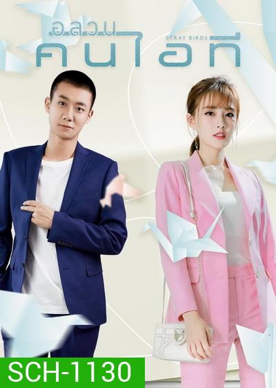 Stray Birds 2021 อลวนคนไอที ( Ep.01-40 จบ )