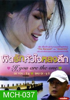 If You Are The One ผิดรักหัวใจหลงลึก