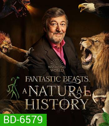 Fantastic Beasts A Natural History (2022)