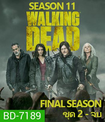 The Walking Dead Season 11 (2021) ล่าสยอง ทัพผีดิบ ปี 11 ชุดจบ (ตอนที่ 17-24 จบ)
